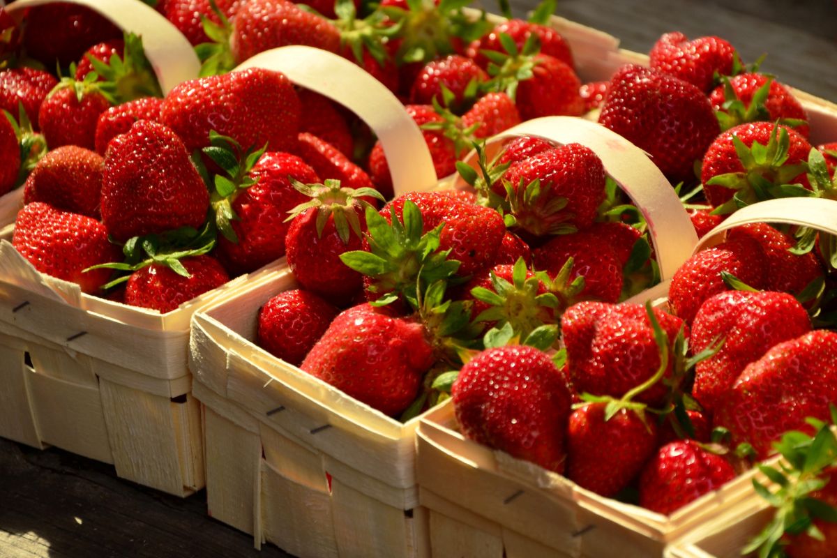 Who Should Avoid Strawberries Despite Their Health Benefits