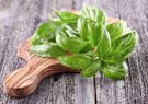 Bazylia - naturalny kosmetyk na problemy ze skórą