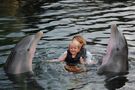 Sesja terapeutyczna w Island Dolphin Care