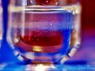 Próbka in vitro