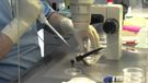 Zapłodnienie in vitro metodą IVF-IMSI-6600