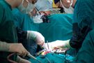 Pół wieku polskiej transplantologii