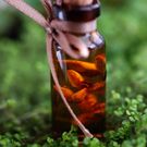 Buteleczka olejku jojoba
