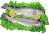 Kwas DHA dla ciężarnych