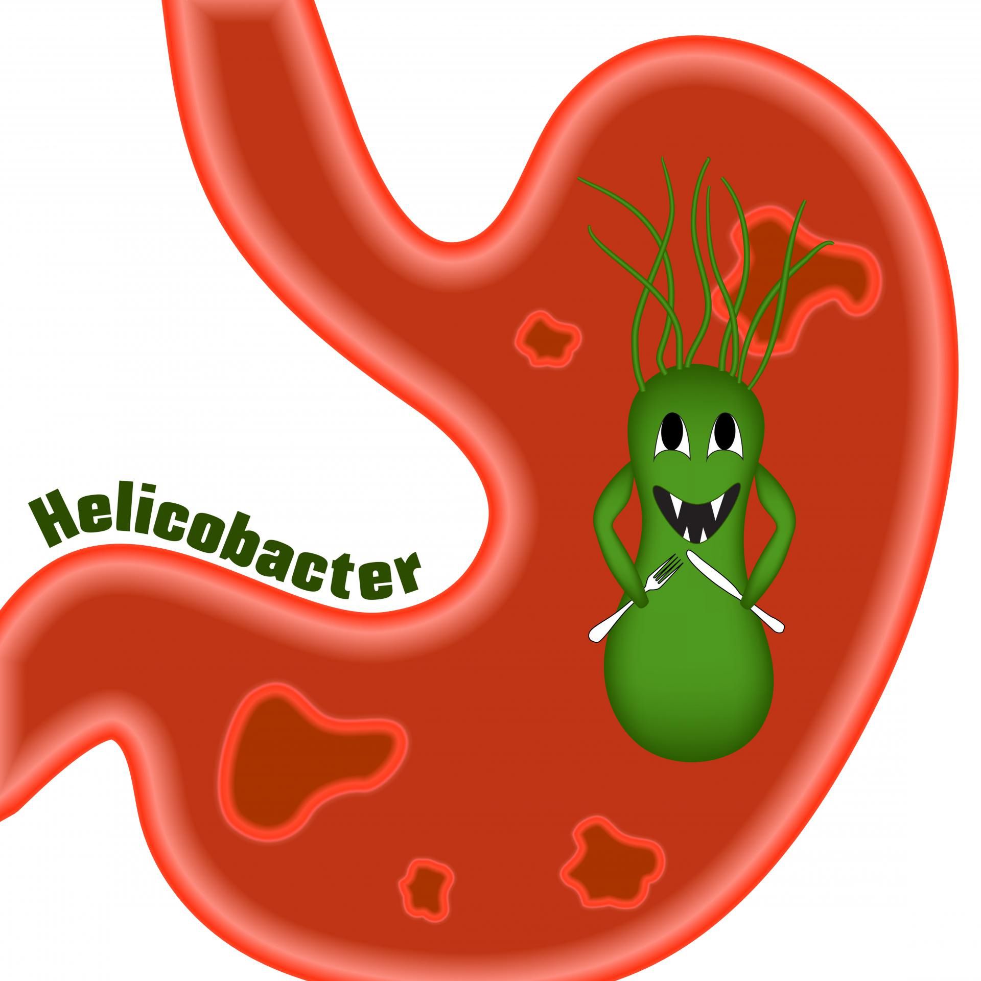 Dyster værksted symbol Helicobakter pylori test - charakterystyka bakterii, czynniki ryzyka  zakażeń, wskazania do diagnostyki, test, choroby wynikające z zakażenia,  leczenie, profilaktyka | WP abcZdrowie