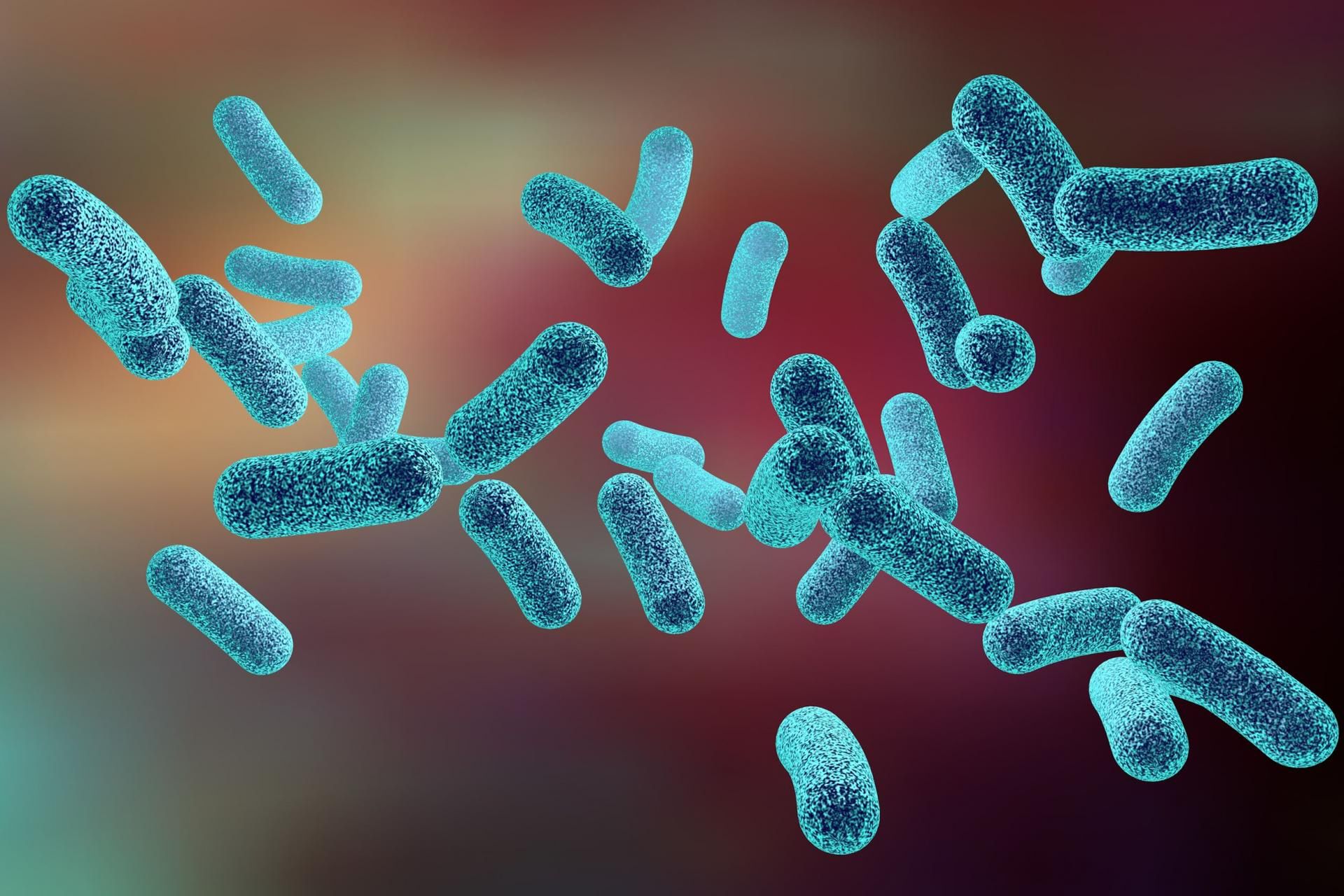 Bakteria coli - i leczenie infekcji dzieci | WP parenting
