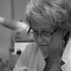 Lek. dent. Anna Jankiewicz