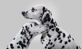 La Roche-Posay. Zostań Skin Checkerem