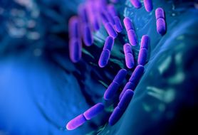 Bakterie probiotyczne Lactobacillus nadzieją dla alergików