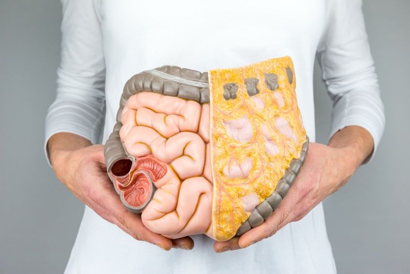 Szczepy niektórych bakterii probiotycznych mogą odbudować zniszczoną mikroflorę jelitową