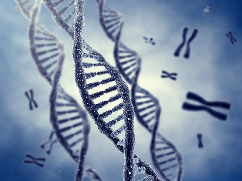 Technologia zmiany mitochondrium zapobiega wielu chorobom dziedzicznym