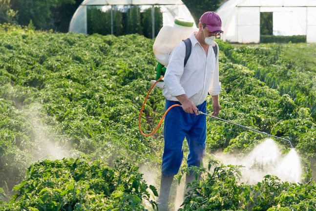 Dotychczas szkodzących uprawom owadów, pozbywano się dzięki spryskiwaniu roślin chemikaliami