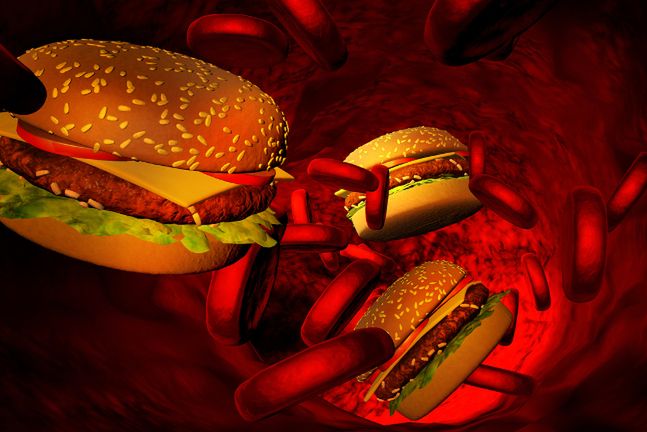 Przez lata uważano, że dieta bogata w cholesterol to główna przyczyna powstawania zatorów i chorób układu krążenia