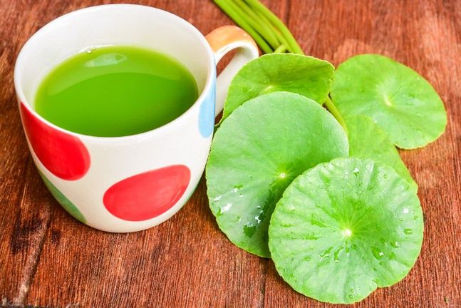 Gotu kola wspomaga pamięć i koncentrację. Może również pomóc na bolesne żylaki nóg