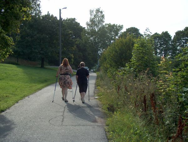 Osoby uprawiające nordic walking