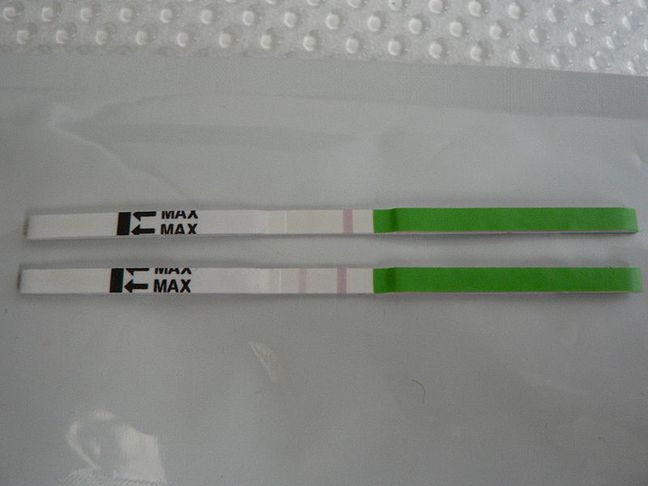 Test LH - zdjęcie