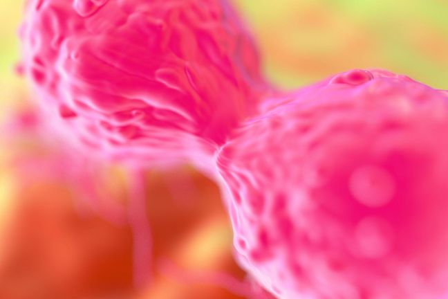Czy wirusy HPV zagrażają wyłącznie kobietom?