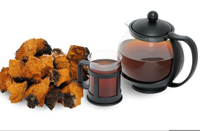 Herbata chaga