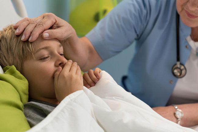 Bakterie - pałeczka tlenowa Bordetella pertussis