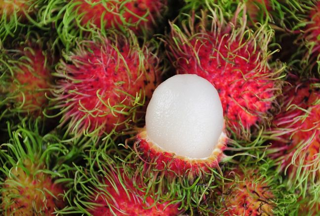 Rambutan