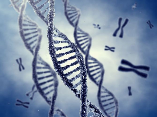 Technologia zmiany mitochondrium zapobiega wielu chorobom dziedzicznym