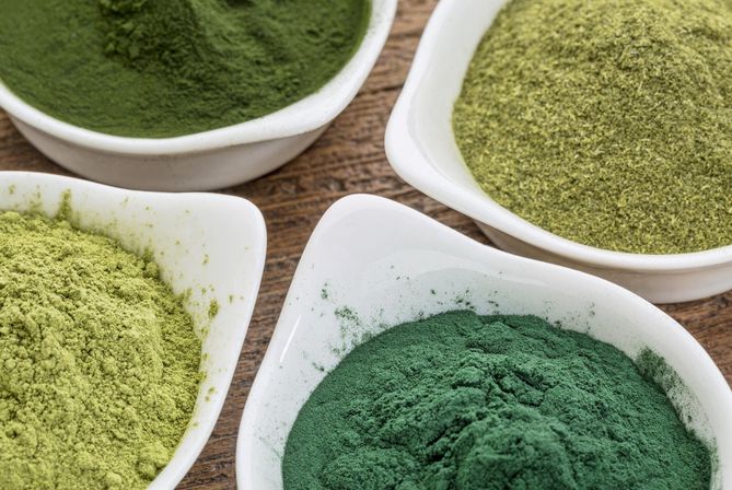 Moringa wykorzystywana jest w kuchni jako przyprawa