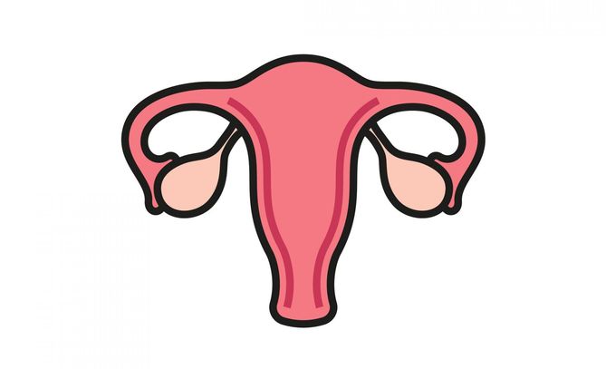 Szyjka macicy pod wpływem menstruacji ulega pewnym zmianom