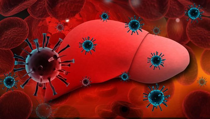 Splenomegalia to choroba powdująca powiększenie wątroby
