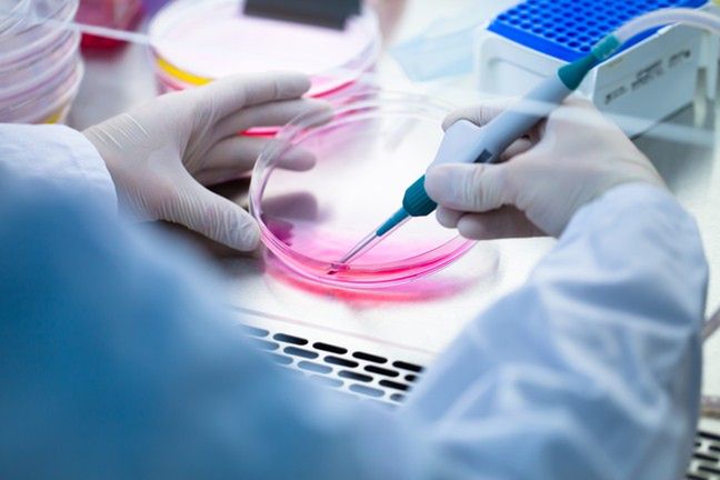 Nowy szczep wirusa ptasiej grypy spowodował epidemię w południowo-zachodniej części Francji
