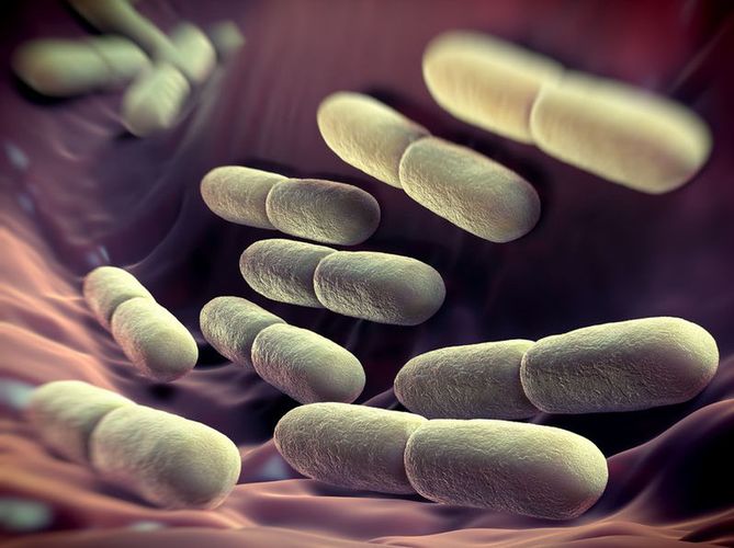 Czy stan flory bakteryjnej dróg rodnych może mieć wpływ na zakażenie wirusem HIV?