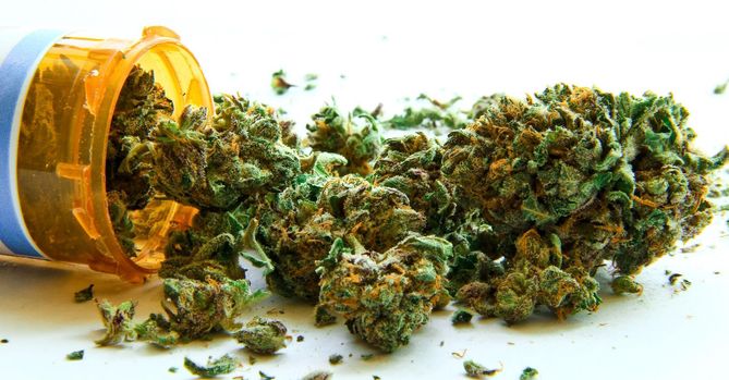 Medyczna marihuana dostępna w Polsce
