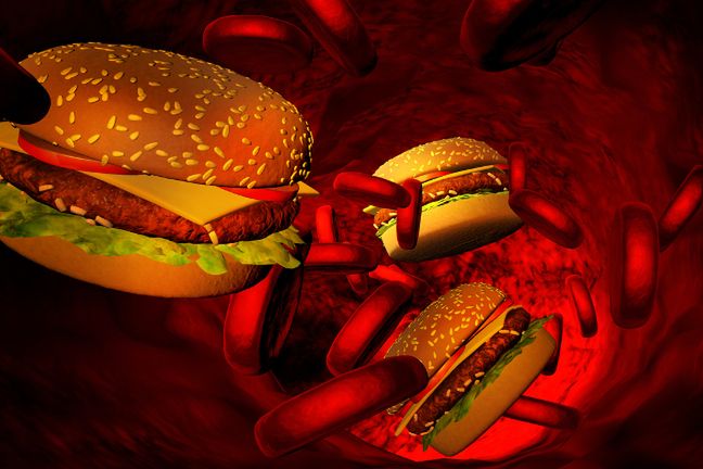 Przez lata uważano, że dieta bogata w cholesterol to główna przyczyna powstawania zatorów i chorób układu krążenia