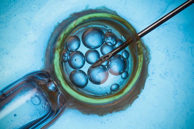 In vitro to szansa dla osób, które chcą mieć dziecko, ale są bezpłodne lub obciążone chorobami genetycznymi