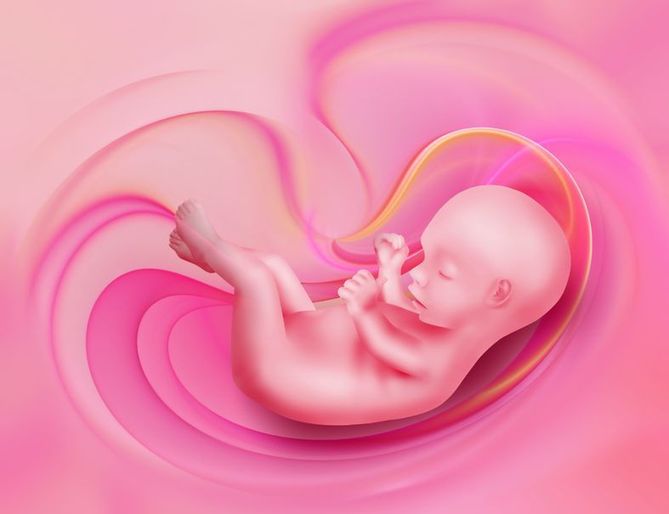 Papież Franciszek zezwala kapłanom na rozgrzeszenie z ciężkiego grzechu aborcji