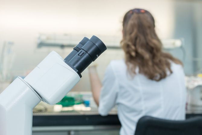 Naukowcom udało się wstrzymać rozwój blastocysty myszy na 4 tygodnie