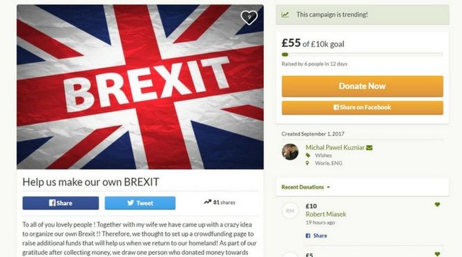 Zbiórka pieniędzy przez polską rodzinę na jednym z portali crowdfundingu