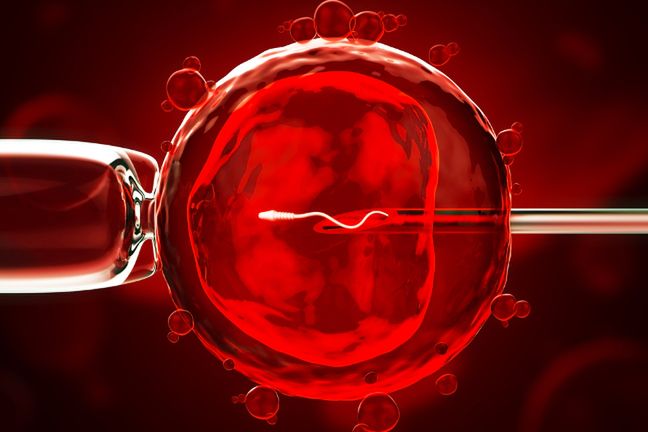Nowa ustawa zezwala na zapładnianie komórki jajowej za pomocą metody in vitro. Zabronione jest jednak niszczenie zarodków, które są zdolne do prawidłowego rozwoju