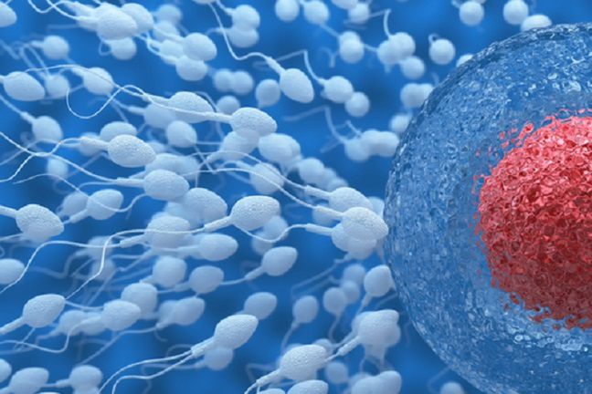 Metoda ICSI pomaga mężczyznom u których jest za mało plemników lub mają one zły kształt