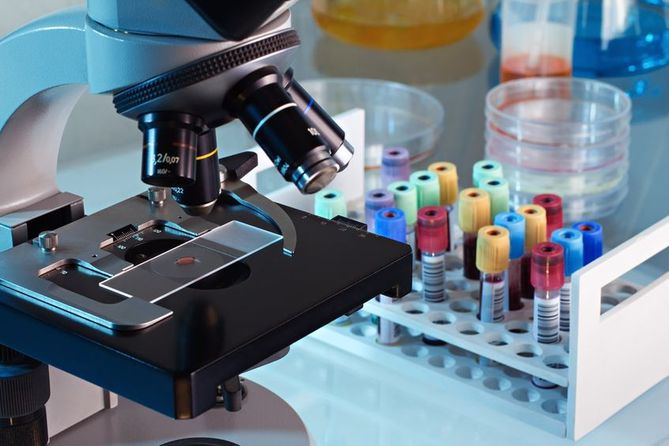 Naukowcy opracowali mikoproteinę, odpowiadającą za wiele funkcji biologicznych organizmu