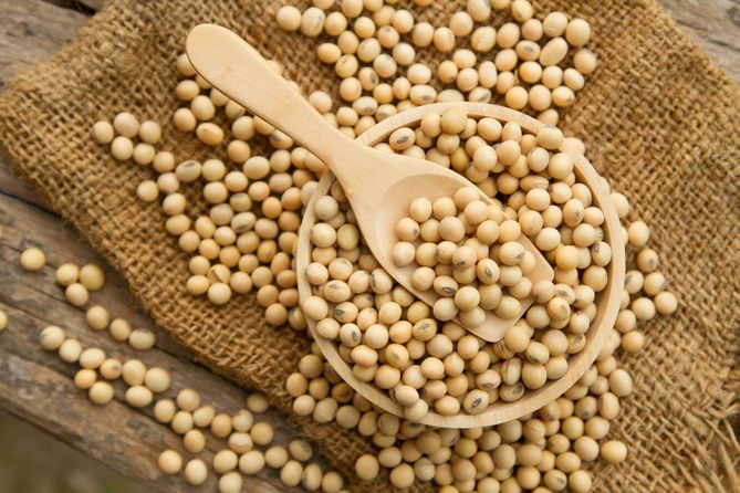 Dieta bogata w produkty z soi obniży ryzyko zachorowania na raka