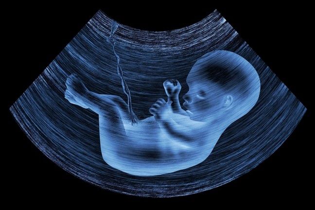 Rozwój płodu ludzkiego możemy badać za pomocą ultrasonografu