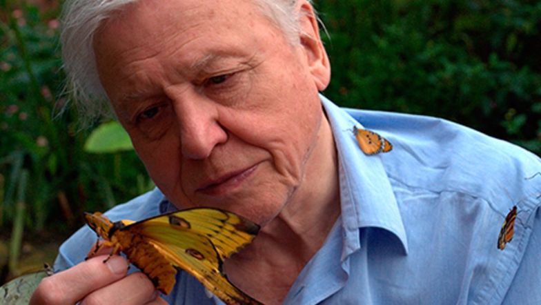 Is David Attenborough Knighted