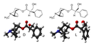 Atropina - budowa
