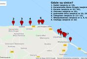 Sinice w Zatoce Puckiej. Kąpieliska zamknięte do odwołania