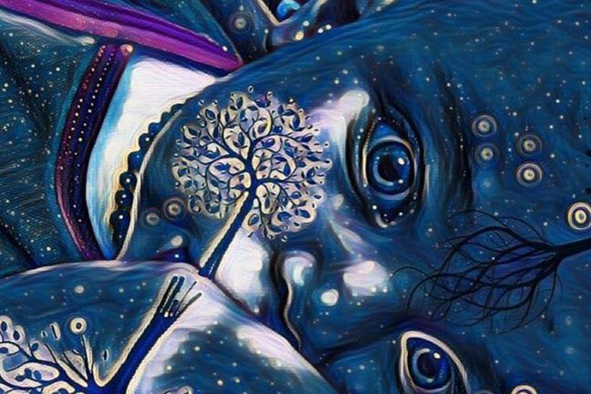 Zdjęcie przerobione w aplikacji PicsArt