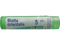 BOIRON Blatta orientalis 5 CH