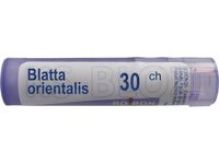 BOIRON Blatta orientalis 30 CH