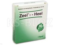 HEEL Zeel T