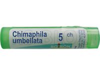 BOIRON Chimaphila umbellata 5 CH