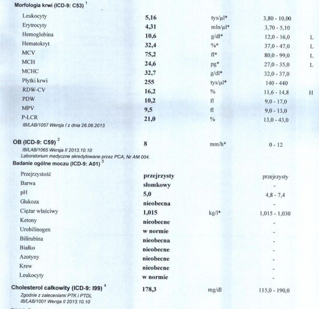 Curriculum vitae interpretacja picture